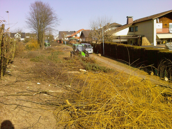 Sportplatzrenovierung 2012