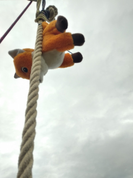 125 Jahre TSG Oberbrechen Limburg 2024 Festwochenende Mount Midoriyama 11